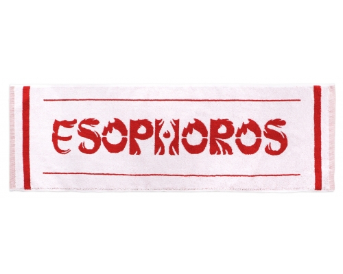 【A】ESOPHOROS