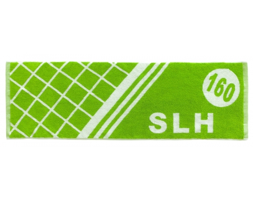 【A】SLH160
